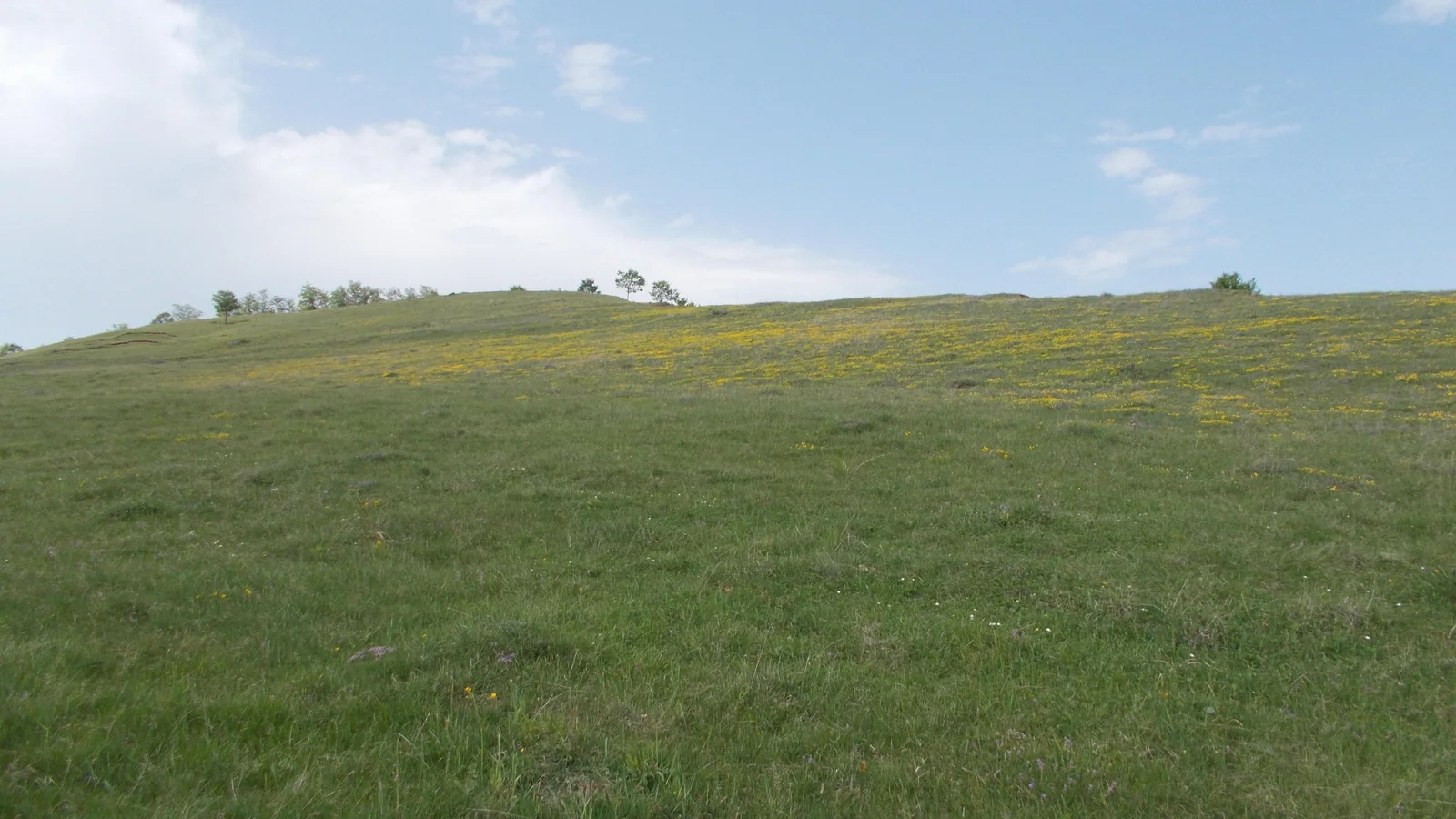 Geoparcul Dinozaurilor Țara Hațegului, județul Hunedoara