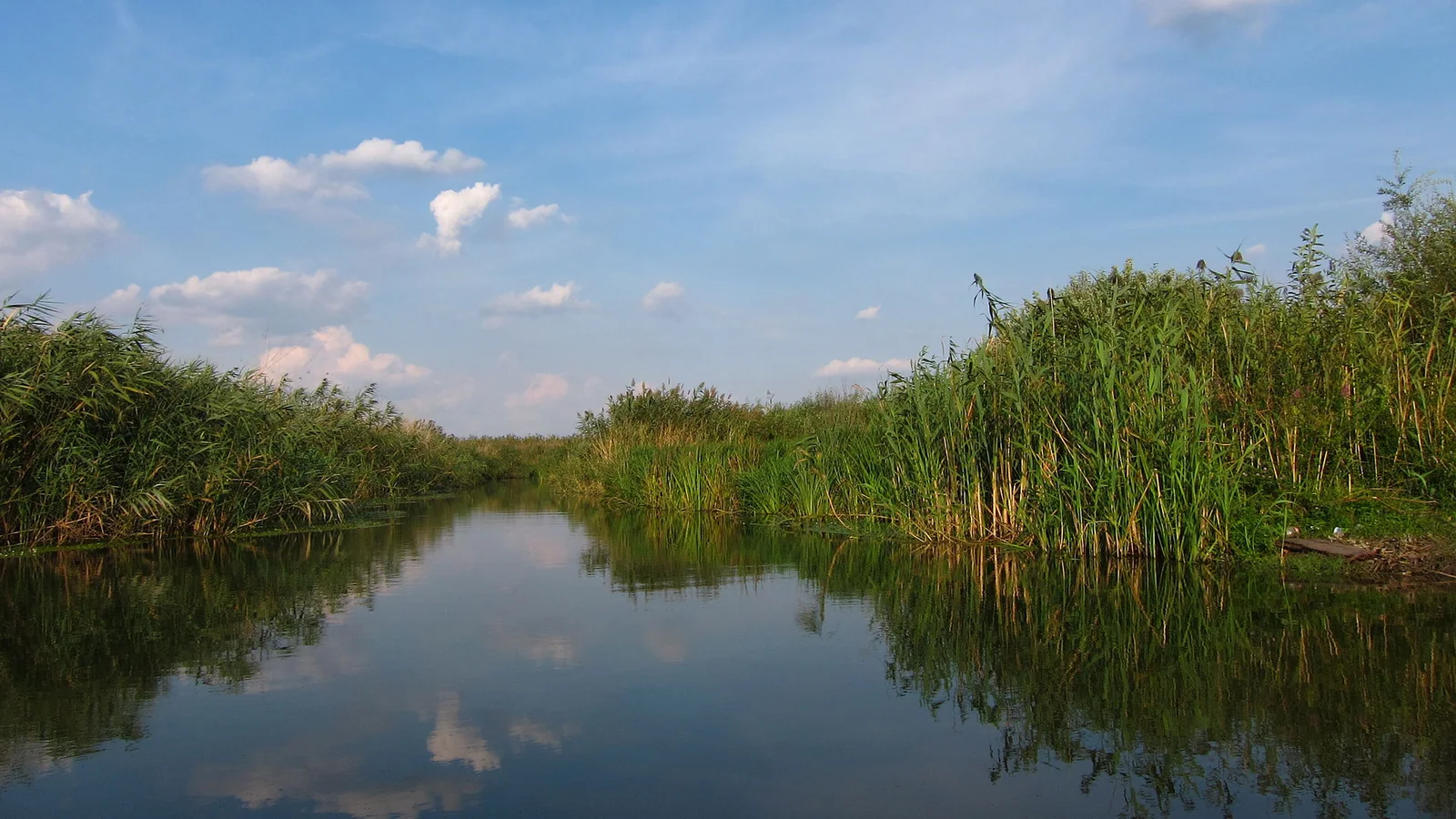 Peisaj din Parcul Natural Comana, Delta Neajlovului