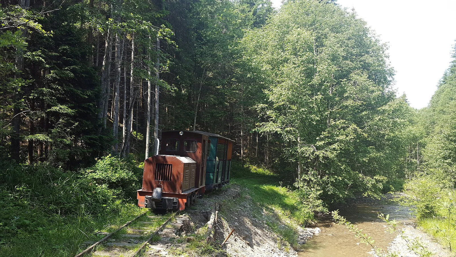 Tren în pădure la Comandău Tren cu ecartament îngust în pădure, Comandău