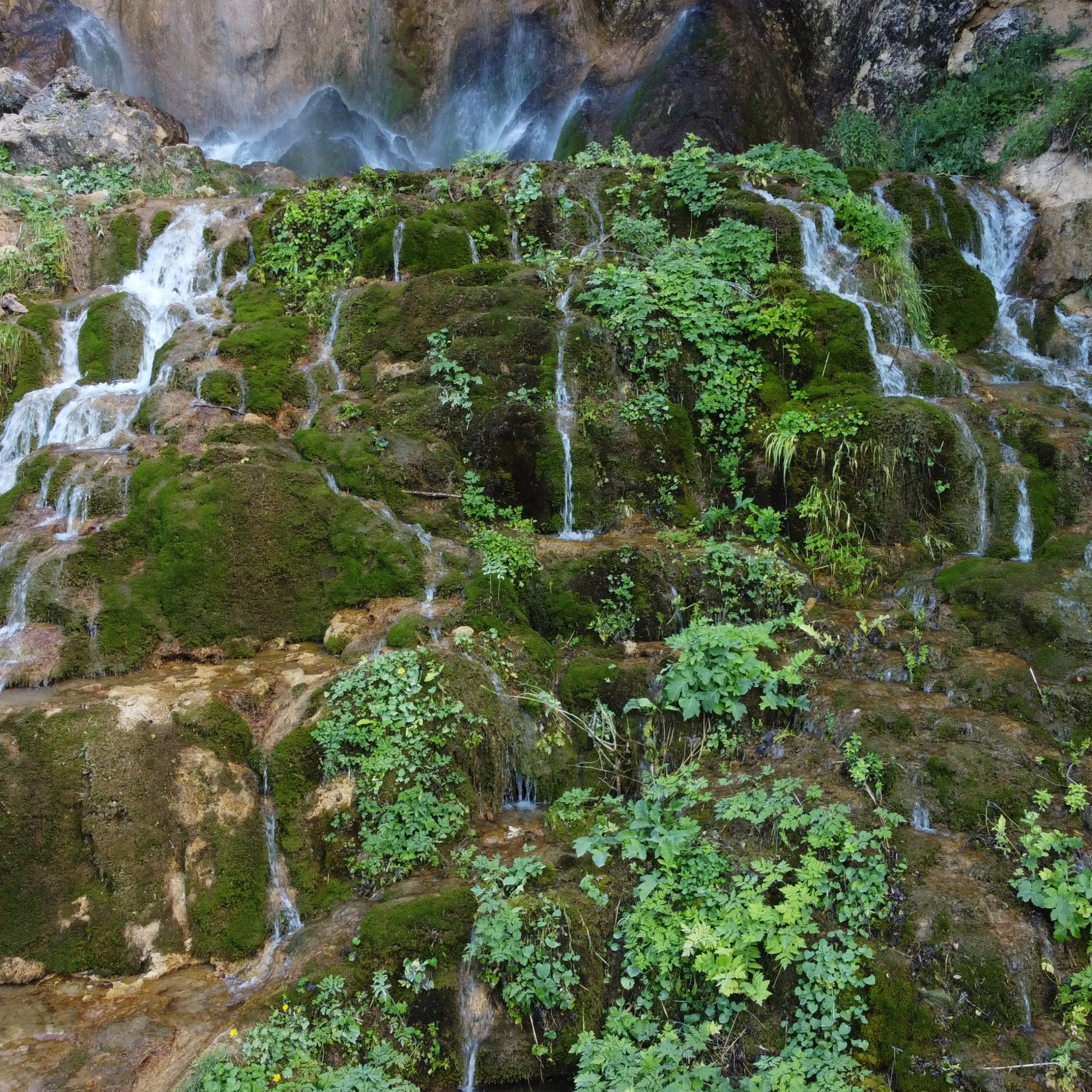 Explorând Cascada Pisoaia - Comoară Naturală din Alba, România