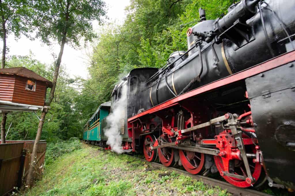 Mocănița Sovata traversând pădurea în traseul spre Câmpu Cetății